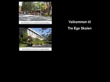 Tre Ege Skolen, Ryslinge Afd.